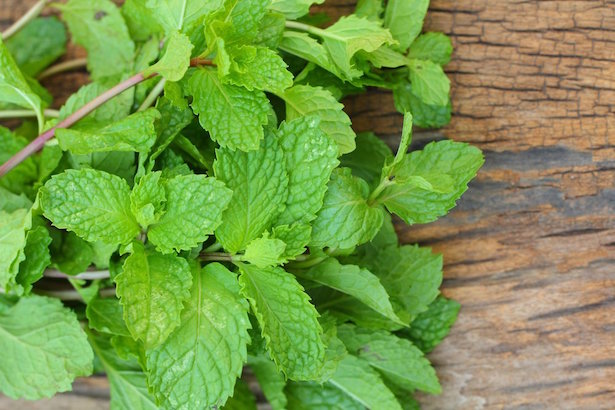 Olio essenziale di menta piperita