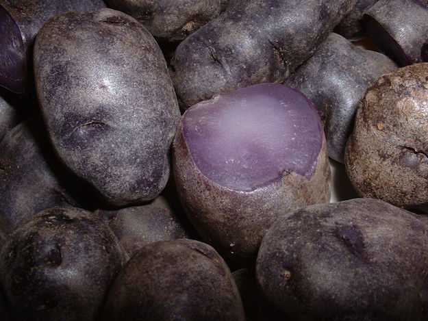 patate viola