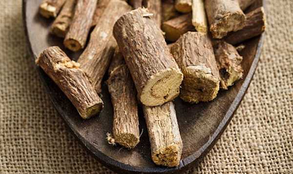 coltivare liquirizia