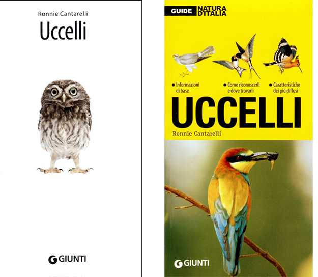riconoscere uccelli