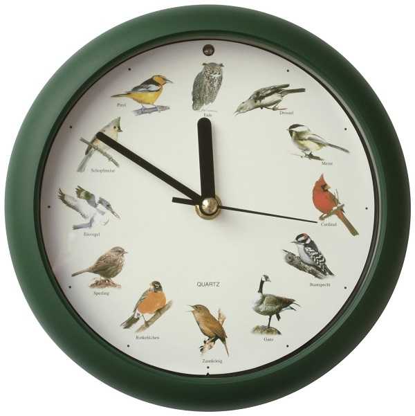 uccelli da compagnia4