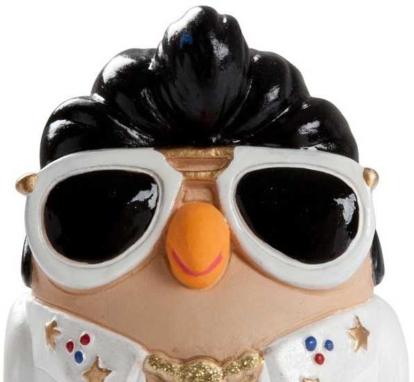 uccelli da compagnia