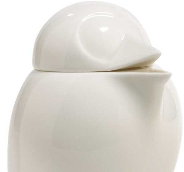 uccelli da compagnia8