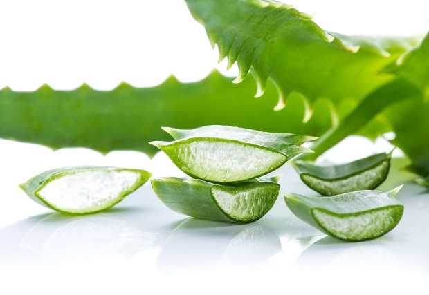 rimedi naturali contro le smagliature