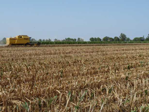 Agricoltura in Italia