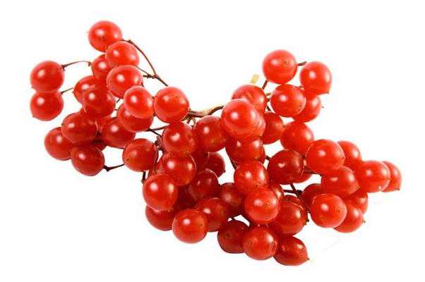 Bacche di Schisandra