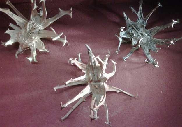 artiglio del diavolo controindicazioni