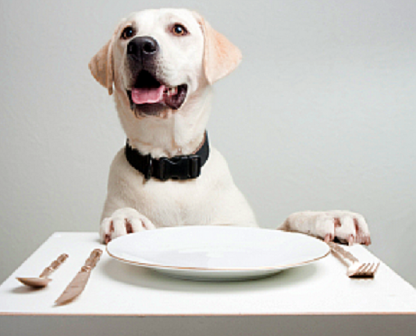 migliori crocchette cani3