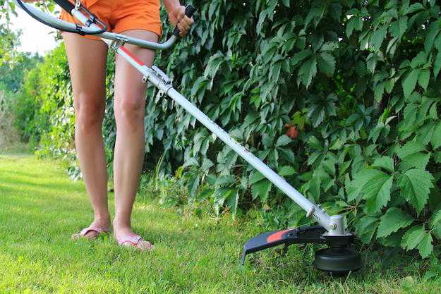 Manutenzione decespugliatore