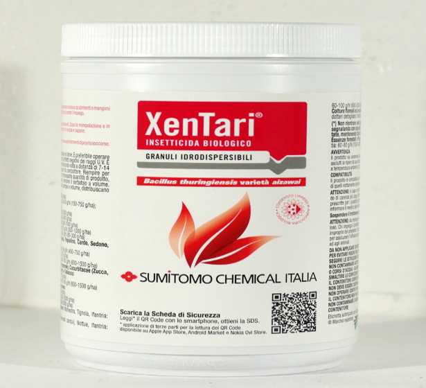 Bacillus thuringiensis