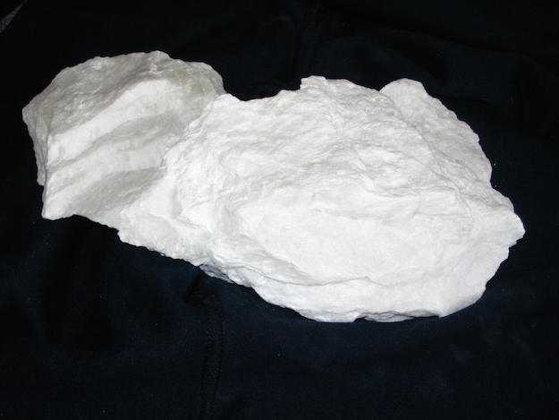 Terra di diatomee insetticida