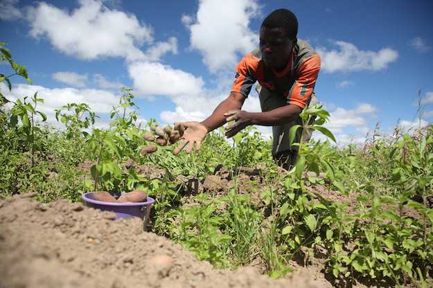 agricoltura sociale normativa