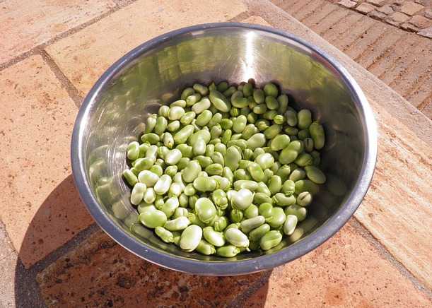 farina di fava