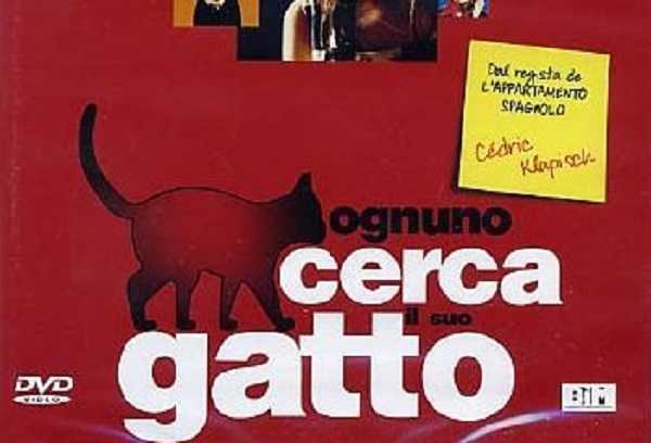 film con gatti1