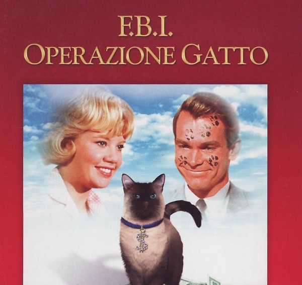 film con gatti2