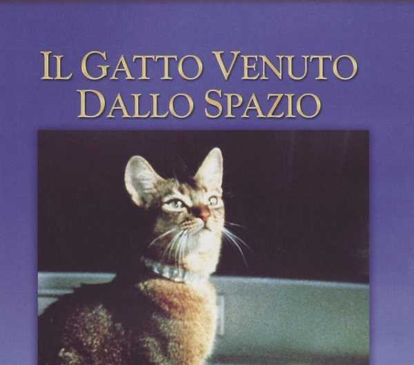 film con gatti4