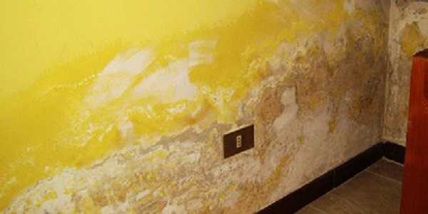 umidità di risalita3