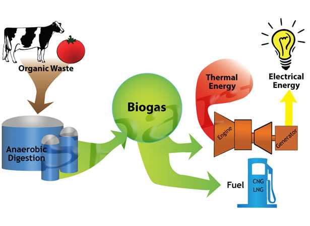 Biometano da biogas
