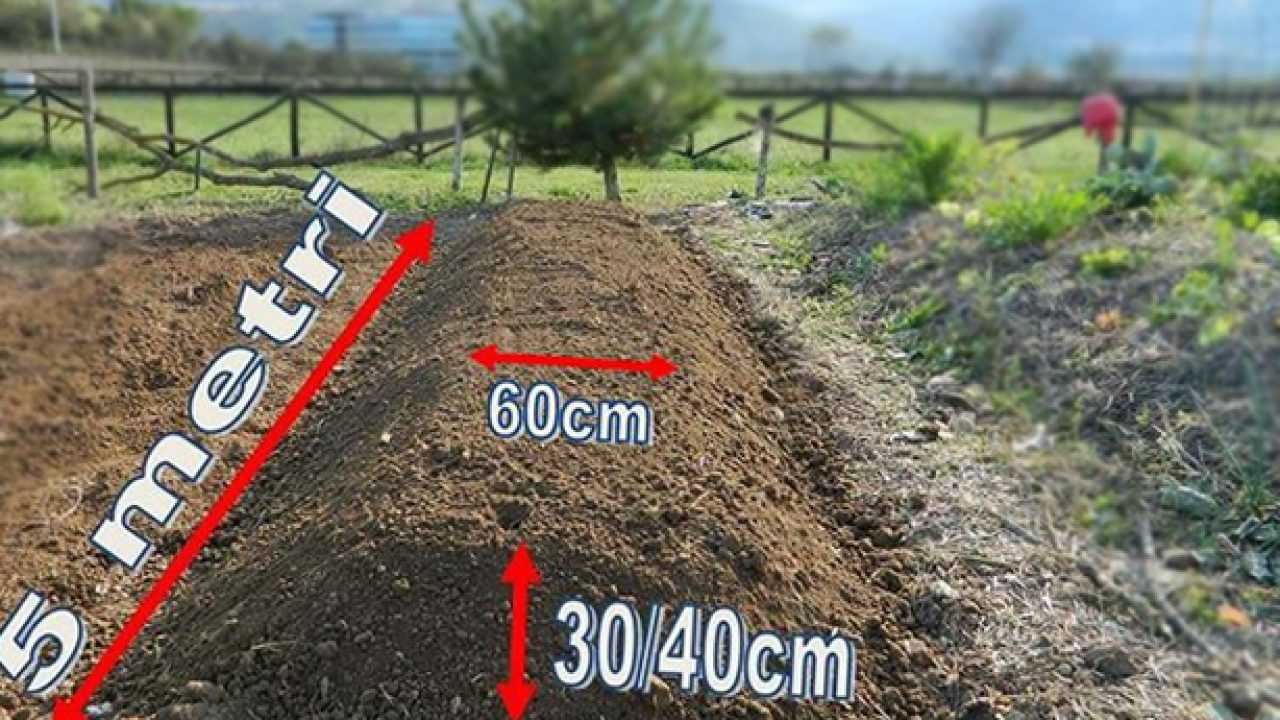 Come Fare Un Orto Sinergico In 10 Passi Idee Green