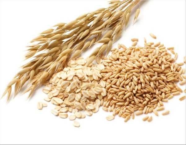 ricette con avena ricette con avena