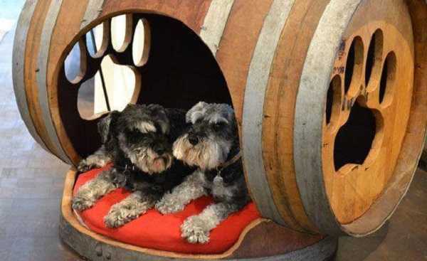 cucce per cani da esterno in legno cucce per cani da esterno in legno