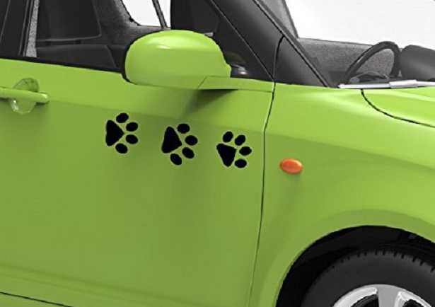 impronta del gatto da comprare