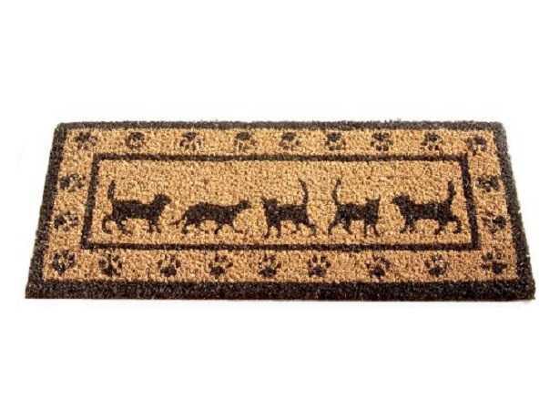 impronta del gatto zerbino