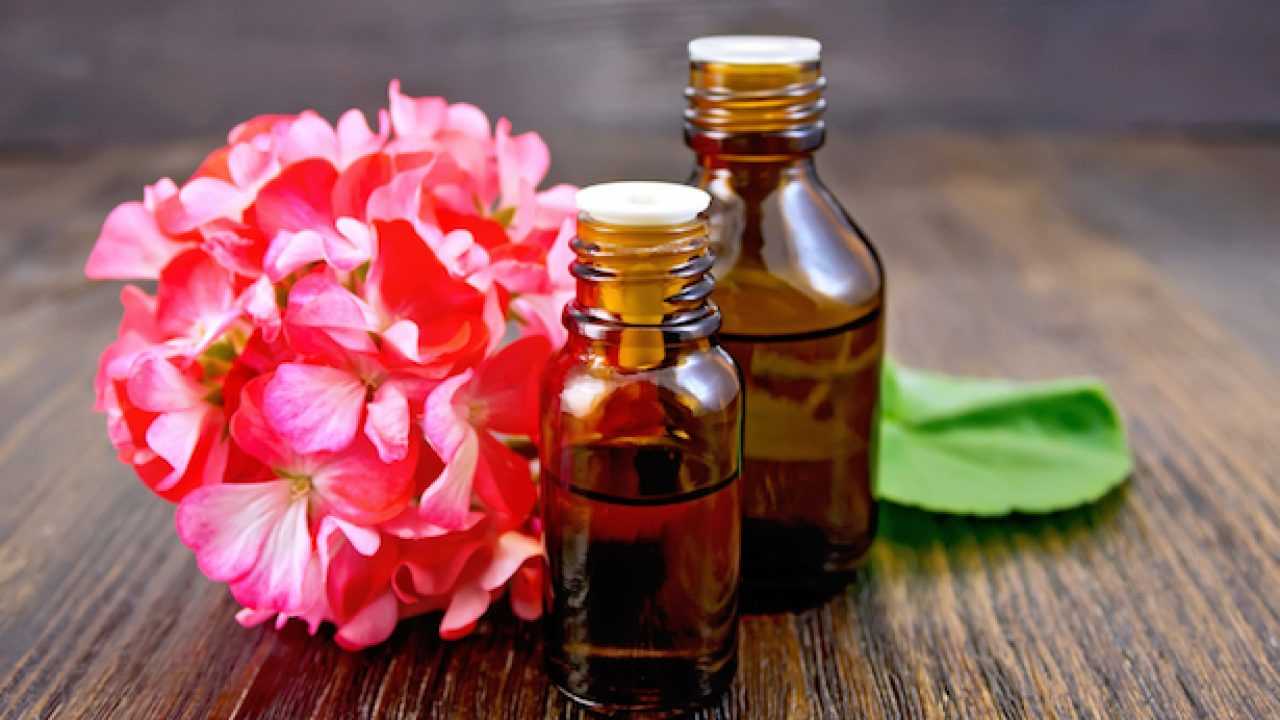Olio Essenziale Di Geranio Idee Green