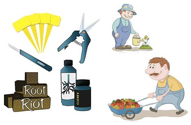 regali ecologici natale regali ecologici natale