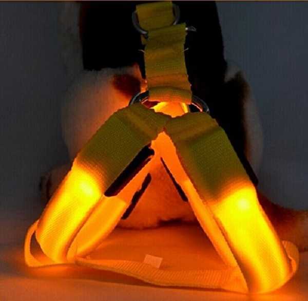 regali natale cani guinzaglio