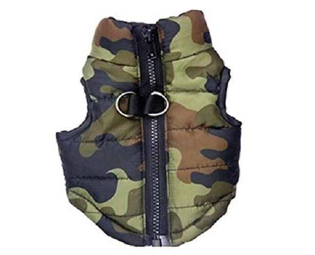 cani freddolosi cappottini