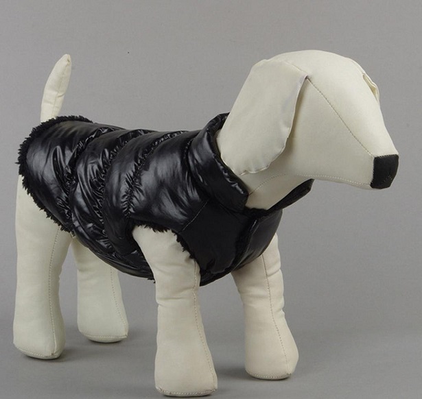 cani freddolosi cappottini