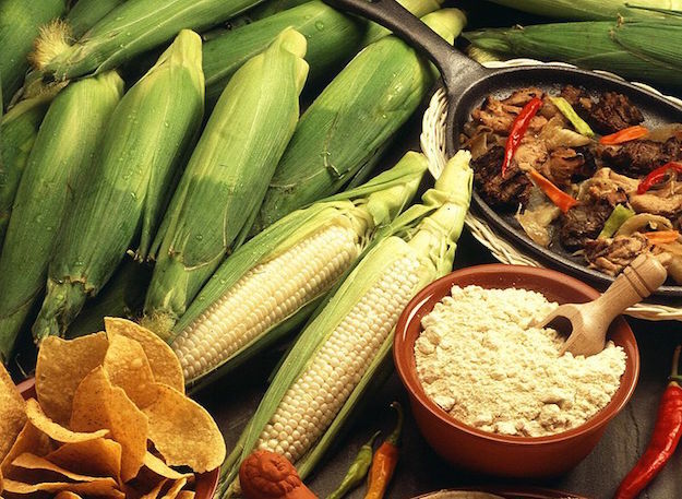 farina di mais bianco