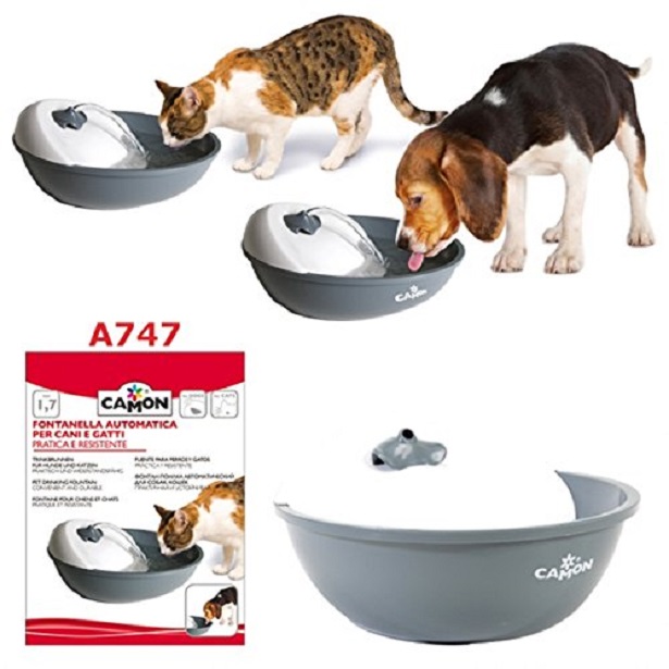 fontanella cani come convincerli