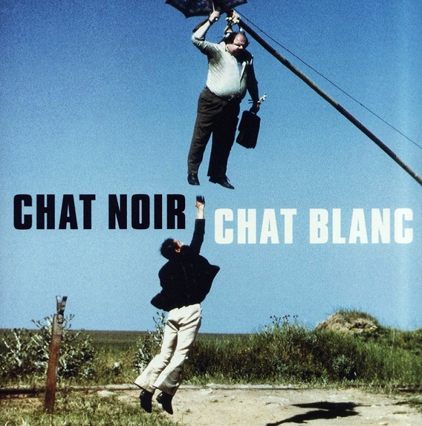 gatto nero gatto bianco