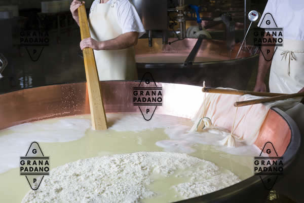 grana padano calorie ingredienti