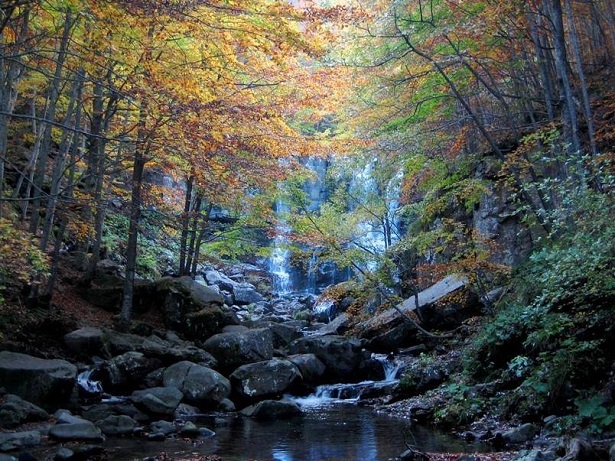 grande mondo piccolo pianeta