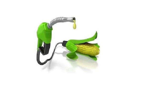 green diesel e biodiesel 