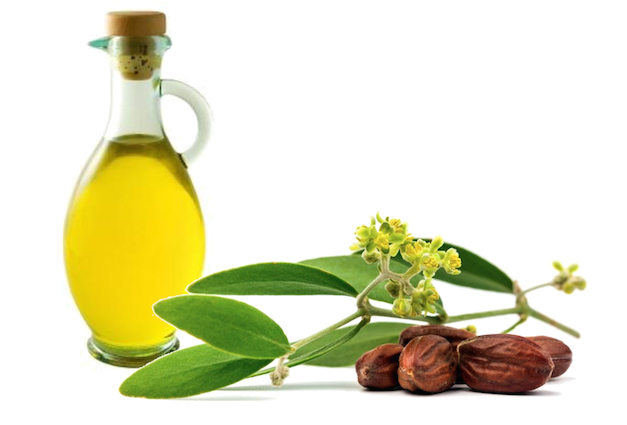 olio di jojoba proprietà