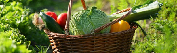 Responsabilita sociale e cibi sostenibili