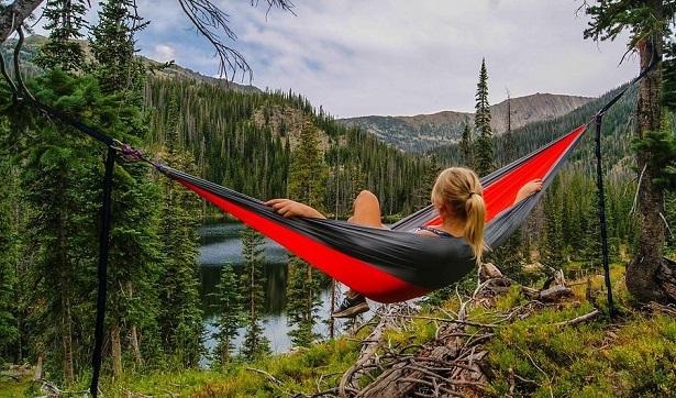 EPI enironmental performance index