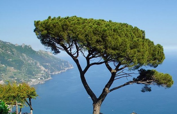 EPI environmental performance index