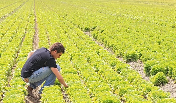 agronomia di cosa si tratta