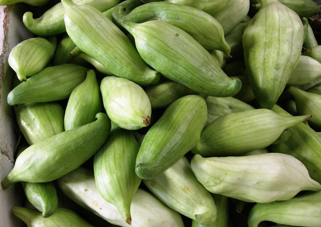 caigua proprieta benefiche