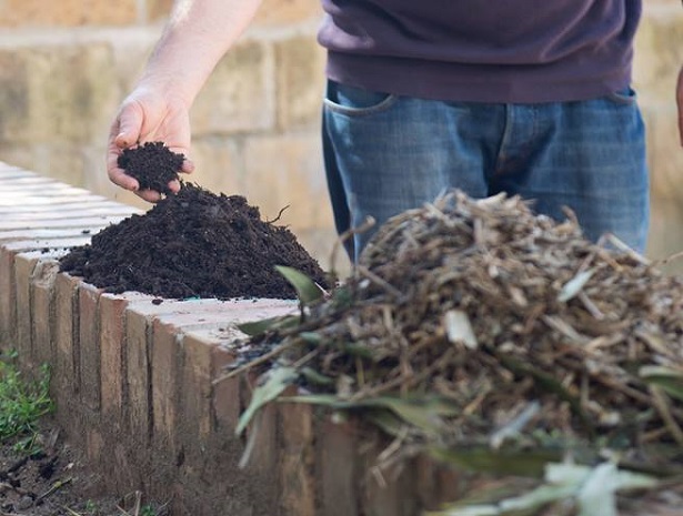 digestione anaerobica digestione anaerobica