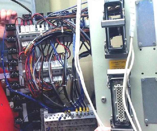 e cat ultime notizie