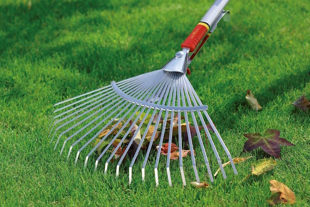 rimuovere foglie da giardino