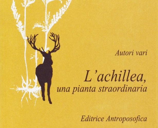 achillea millefolium libro 