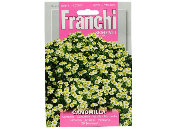 camomilla semi camomilla semi