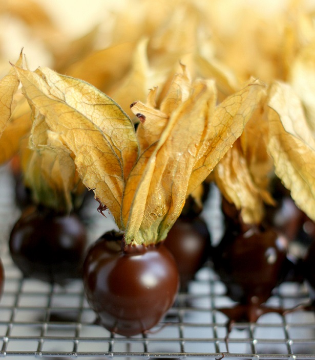 Alchechengi cioccolato